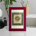 thumbnail image 5 of Mini Exotic Coral VI (U) - Framed Print w/glass - Cherry Red, 5 of 8
