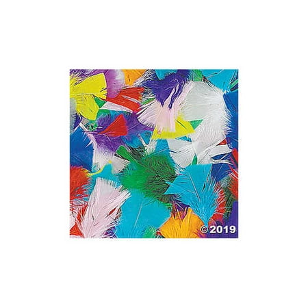 Bright Assortment - Bright Turkey Feather Assortment