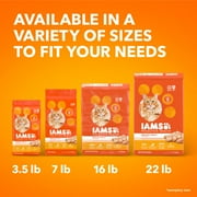 (2 pack) Iams Proactive Health Chicken Flavor Dry Cat Food, 22 Lb Bag