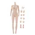 thumbnail image 1 of 1/6 cuerpo femenino sin costuras gran busto esculpir para cuerpo de figura de Zulema Figura de acción Cuerpo desnudo, 1 of 8