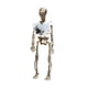 thumbnail image 2 of Xihbxyly Colgante de Esqueleto de Halloween, Decoración de Calavera Espeluznante, Accesorio de Terror de Plástico, Decoración para Casa Embrujada, Ambiente para Fiestas y Eventos, Uso En Interiores y, 2 of 7