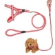 thumbnail image 2 of Arnés para perros reflectante de luz ajustable de nailon, correa para el pecho con cuerda para tirar (rojo), 2 of 12