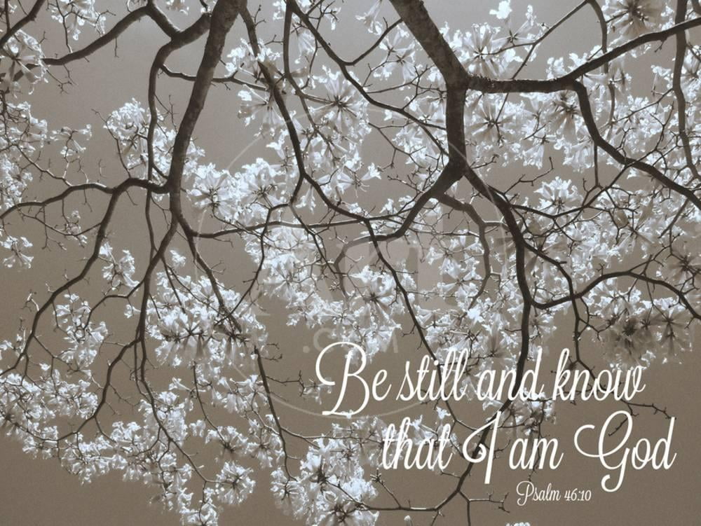 Be Still and Know that I am God. Psalm 4610 Bible Verse Print Wall Art by  Gail Peck Sold by Art.Com - Walmart.com