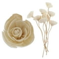thumbnail image 4 of Quentinu 9pcs Fireless Aroma Dried Flower Cane Essential Oil Diffuser Aromatherapy Sticks, 4 of 5