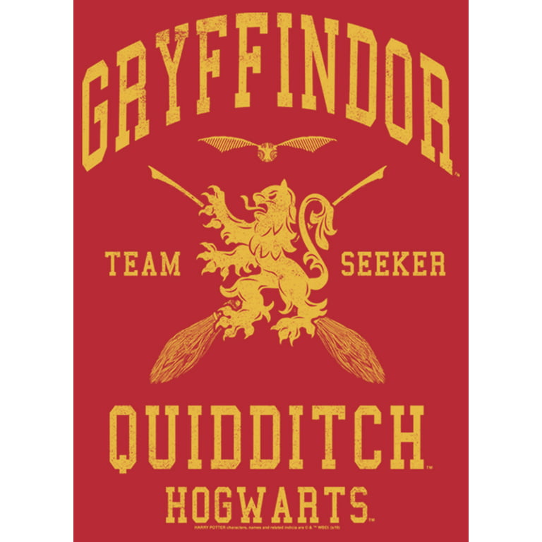 Men's Harry Potter Gryffindor Quidditch Gold Team Seeker Pull Over Hoodie  Red Medium