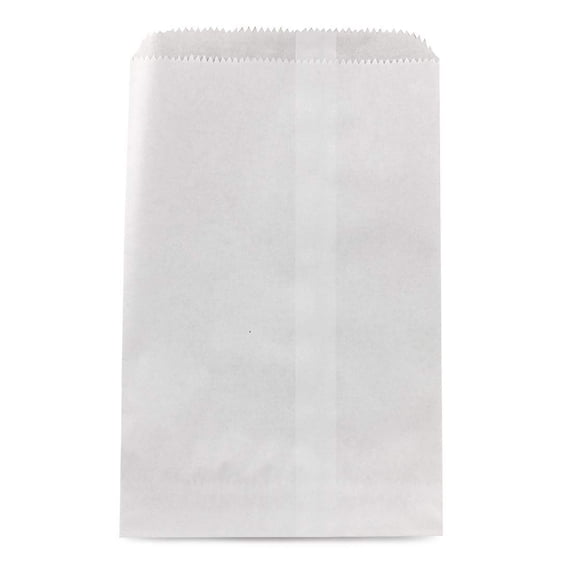 Hygloss Bagz For Fun, 6" x 9", 100/Pkg