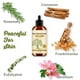 thumbnail image 5 of Aceite Corporal Calmante de Incienso con Perfuma. Calma el cuerpo y la mente, proporcionando una hidratación duradera. 120 ml. Agua Esencial., 5 of 8