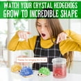 thumbnail image 4 of Eduman Crystal Growing Activity Kit ,Colored Hedgehog Grow Crystal, Science Experiment Kit for Child Age 8+, 4 of 8