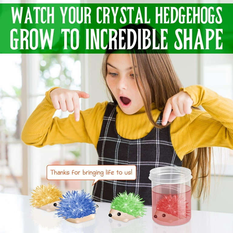 Piano Potato Crystal Growing Kit for Kids, 4 Vibrant Colored