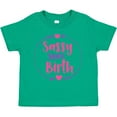 thumbnail image 3 of Inktastic Sassy Since Birth, Sassy, Sassy Girl, Arrow, Hearts Girls Toddler T-Shirt, 3 of 5