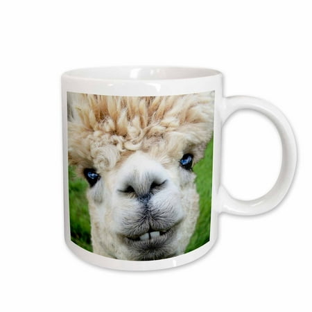 3dRose Alpaca. Lama. South America. White. - Ceramic Mug,