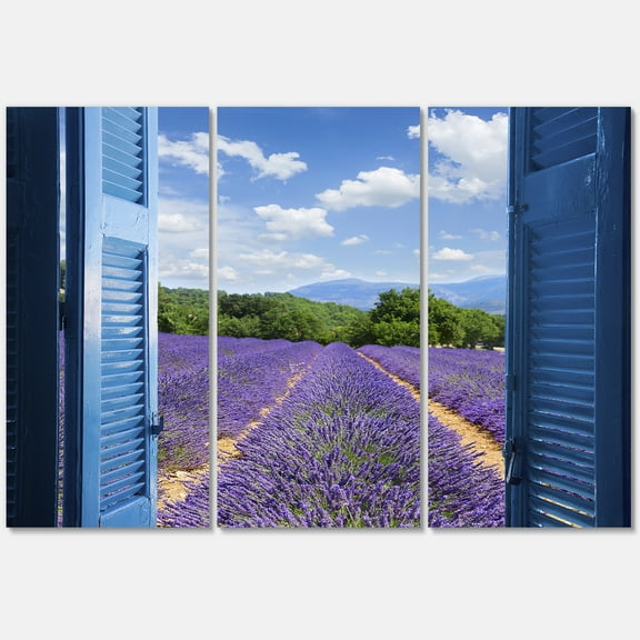 Designart ' View of Lavender Field Through Blue Open Cottage Window ' Farmhouse Canvas Wall Art Print
