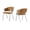 Camel, variant on Marcus - Modern Camel Vegan Leather Dining Chair (Set of 2)