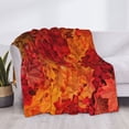 thumbnail image 3 of Fotbe Autumn Leaf Manta de Franela con Estampado, Manta Ultrasuave para Cama, Sofá, Auto, Hipoalergénica y Antibolitas-80"x60", 3 of 6