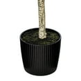 thumbnail image 5 of Vickerman 60" Artificial Green Olive Tree in Black Planters Pot., 5 of 7