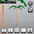 thumbnail image 3 of Wintergreen Lighting Holographic Lighted Palm Tree, LED, Artificial Tree, Rope Light, 7ft, Indoor/Covered Outdoor Use, 3 of 5