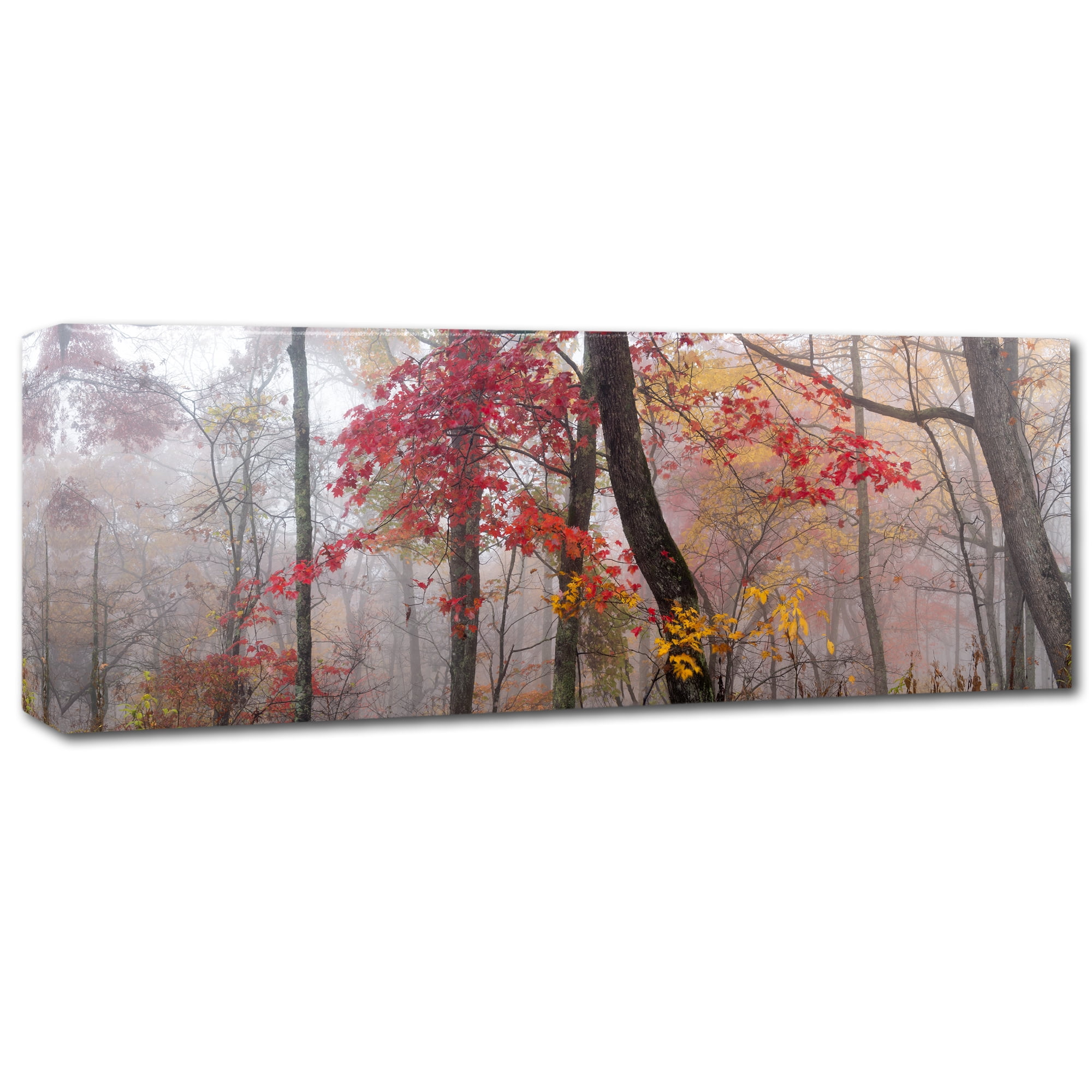 Trademark Fine Art 'Garnet And Gold' Canvas Art by Doug Cavanah