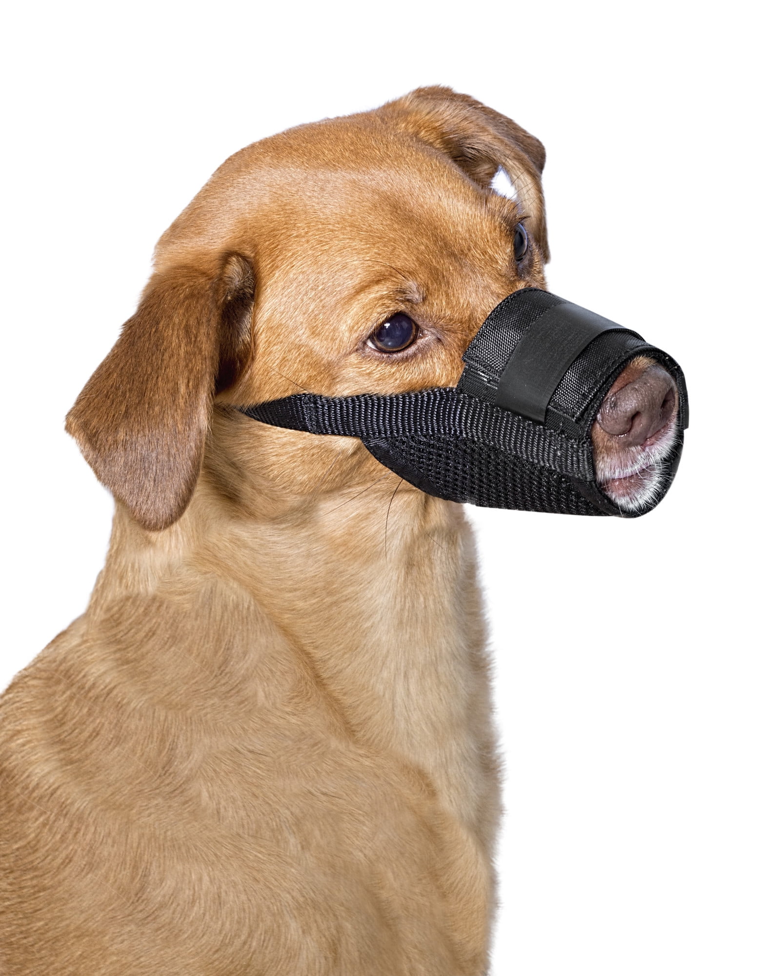 Adjustable Dog Safety Muzzle Nylon Pet Puppy Muzzel Anti Biting Barking Chewing Face Mask Dog Small