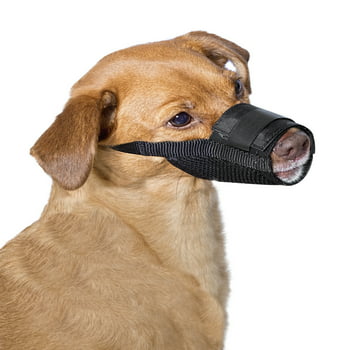 Premier Pet Dog Muzzle for Medium Dogs - Padded Nylon for Safe, Comfortable Fit - Allows Panting; Stops Biting, Nipping and Barking - Adjustable at Neck and Snout
