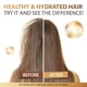 thumbnail image 3 of Price Drop Coconut oil Essential oils Leave In Hair Care Oil Moroccan Argan Oil Hair Capsule Care Conditioner Hair Oil 40ml(buy 2 get 10% off), 3 of 4