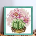 thumbnail image 3 of Kit Punto Cruz Cactus Impreso 14 Quilates Con Hilo Algodón Ecológico Y Bordado Parcial (H963), 3 of 9