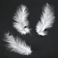 thumbnail image 4 of 300 Multicolored Feathers for Creative Crafts, Weddings & Home Decor (White), 4 of 7