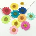 thumbnail image 3 of Flmtop 12Pcs Pressed Dried Natural Flower Epoxy Resin Nail Craft DIY Phone Decoration, 3 of 10