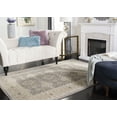 thumbnail image 2 of SAFAVIEH Sofia Raschelle Border Area Rug, Light Grey/Beige, 4' x 5'7", 2 of 6
