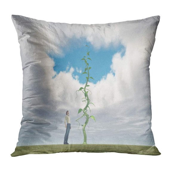 BOSDECO Successful Farmer Looking Up to His Big Beanstalk Growing The Sky and Creates Hole in Clouds This is 3D Pillow Case Pillow Cover 16x16 inch