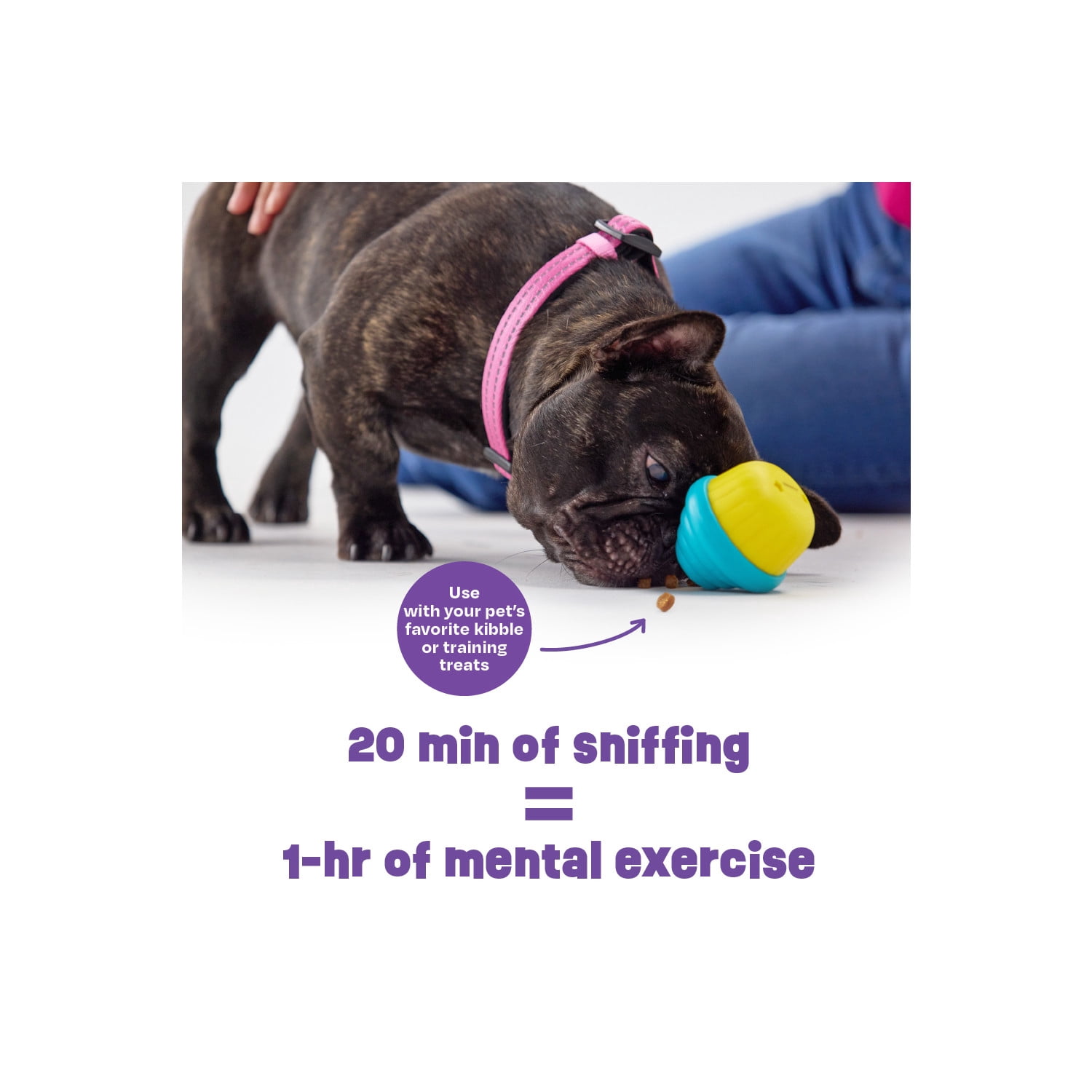 Brightkins Small Cupcake Dog Toy, Durable Treat Dispenser for Playful Dogs and Easy Clean