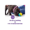 thumbnail image 6 of Brightkins Small Cupcake Dog Toy, Durable Treat Dispenser for Playful Dogs and Easy Clean, 6 of 7