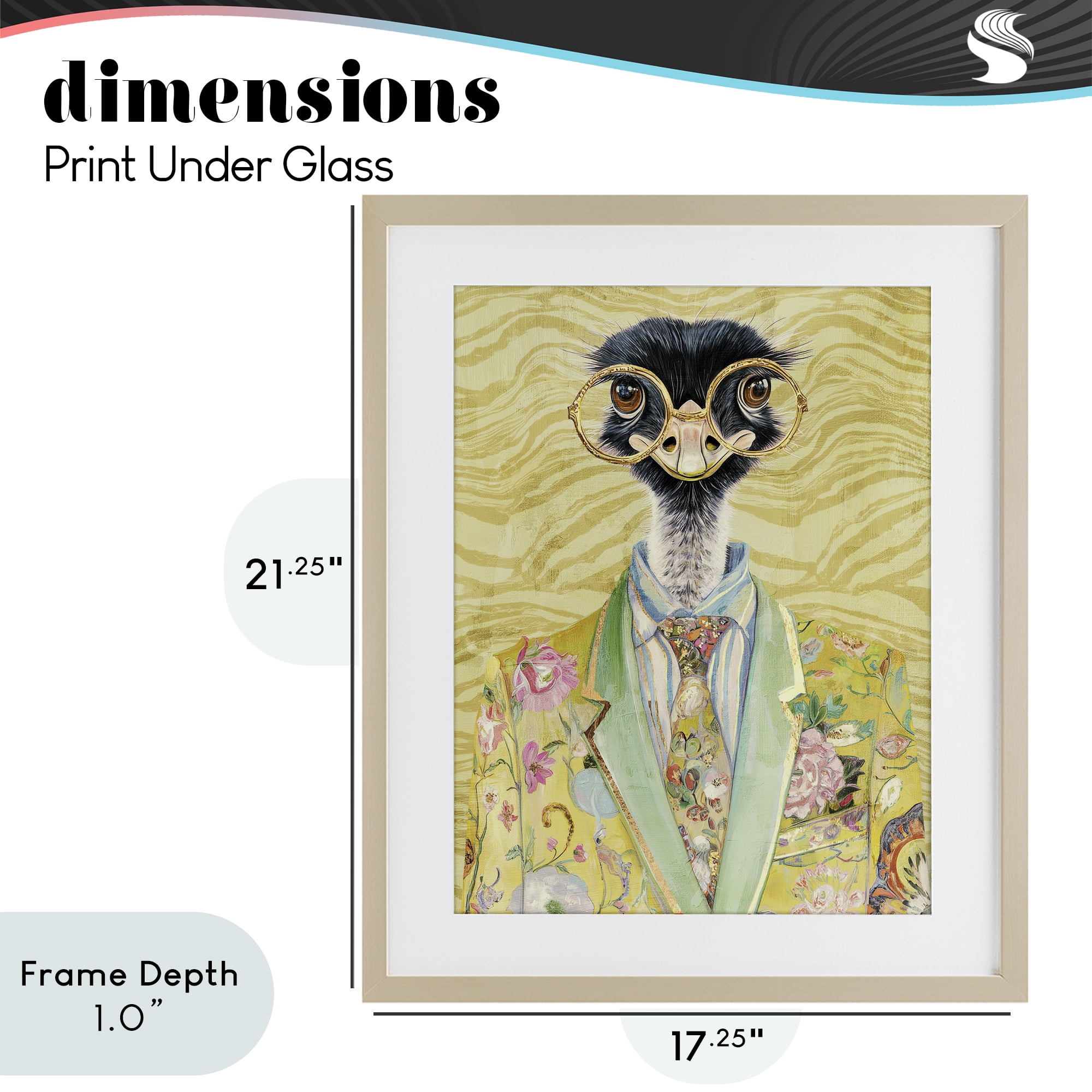 Stupell Industries Dandy Ostrich Portrait Birch Framed Print Under Glass, design by Svetlana Aleynikova