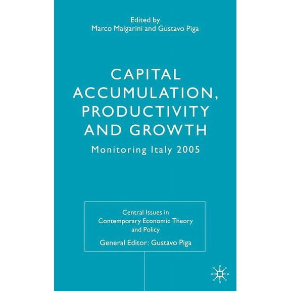 Central Issues in Contemporary Economic  Capital Accumulation, Productivity and Growth: Monitoring Italy 2005, (Hardcover)