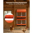 thumbnail image 5 of KFFKFF Chicken Nesting Boxes, 2 Compartments, Convenient Egg Collection, Wall-Mountable, Simple Assembly, Durable Galvanized Steel and Sturdy Plastic, Roll-Out Design for Laying Hens, Orange, 5 of 9