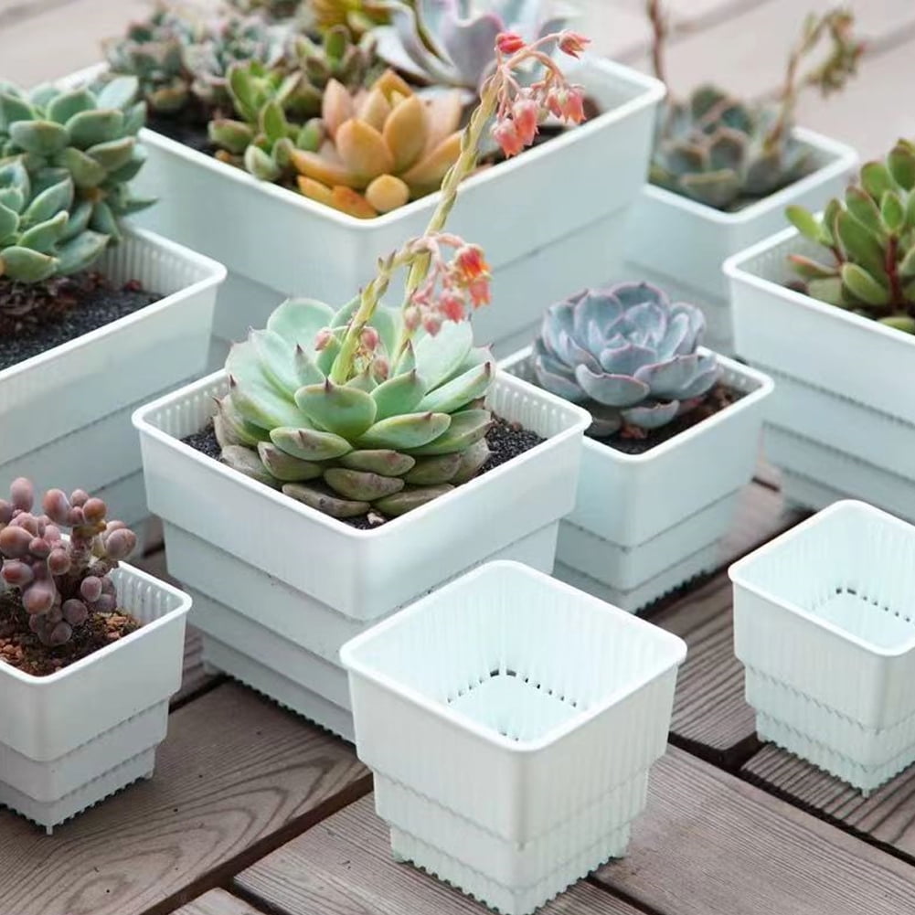 CSCHome 6 PCS Breathable Planter Square Orchid Potting Mix with Drainage Holes for Repotting for Succulents Gardening Home Window Decor