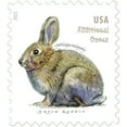 thumbnail image 2 of Brush Rabbit ADDITIONAL OUNCE Rate USPS Postage Stamp 2 Sheets of 20 US First Class Postal Country Farm Wedding Celebration Anniversary Party (40 Stamps), 2 of 2