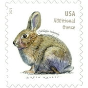 Brush Rabbit ADDITIONAL OUNCE Rate USPS Postage Stamp 2 Sheets of 20 US First Class Postal Country Farm Wedding Celebration Anniversary Party (40 Stamps)