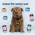 thumbnail image 4 of Petpost Large Wrinkle Wipes for Dogs | 60 Count 5x7 Dog Face & Wrinkle Cleaner | Gentle Pet Wipes with Coconut Oil & Aloe for Bulldogs, Pugs & Wrinkly Breeds | Dog Cleaning Wipes, 4 of 11