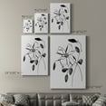 thumbnail image 4 of Wild Clematis II Premium Gallery Wrapped Canvas - Ready to Hang, 4 of 9