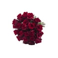 thumbnail image 4 of Natural Fresh Flowers Explorer Roses, 4 of 9