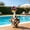 Brown, variant on Staron 23-Inch Porch Goose Statue Bathrobe, Cow Print Fuzzy Wrap with Curler Set, Outdoor Garden Decor Accessory for Pool Patio Entryway, Khaki