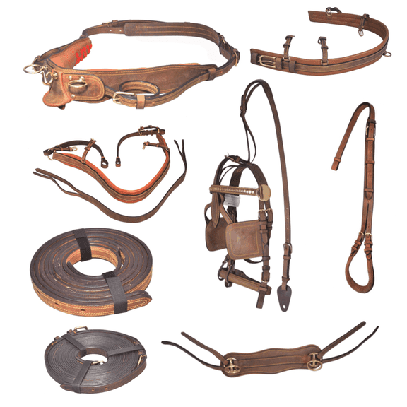 Resistance Full Size Horse Harness Set – Oily Cow Softy Leather with Brass Lacquer Fittings, Includes Bridle & Reins, Buckle Fastener