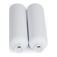 Great Value RV Water Filter 2 Pack for RV/Marine/Camping/Garden/Bathtub