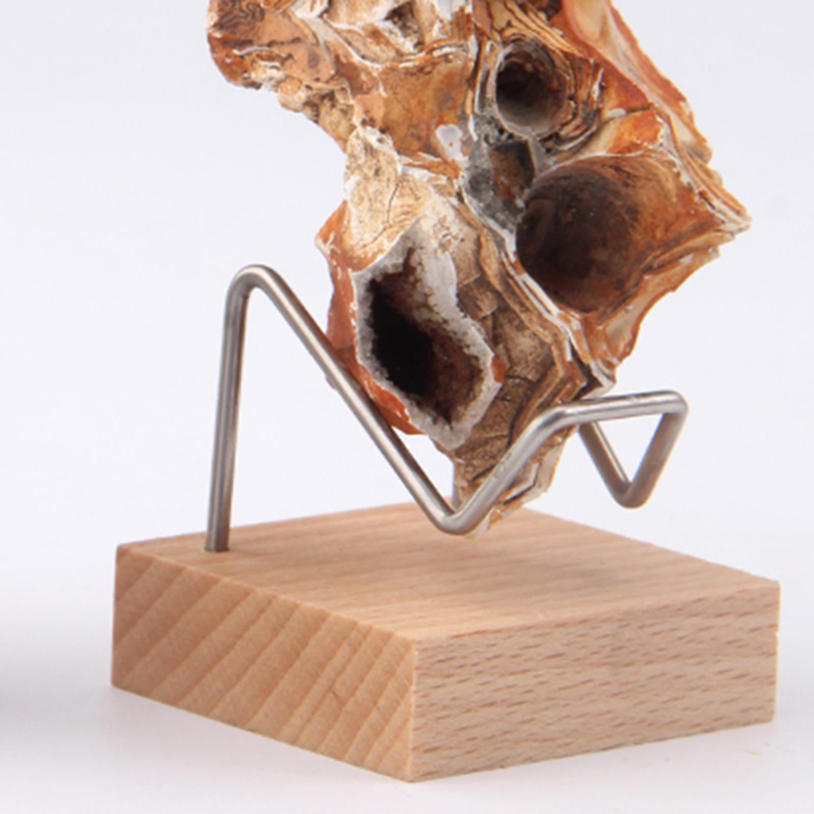 Wood & Brass Mineral Display Stand - Small Holder For Fossils, Gemstones, Crystals, & Seashells