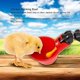 thumbnail image 4 of Bebedero para pollos, 5 uds., para gallinas, bebederos para pollitos, tazas automáticas, pollo, acero inoxidable, agua, tetinas laterales horizontales, pollo, aves de corral, bebedero para conejos (tazón de agua con tornillo fijo) Rojo Verde MX-0126977FYD, 4 of 5