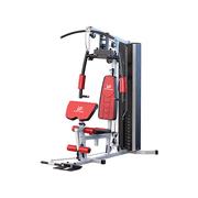 Multifunctional Home Gym 138lb Weight Stack Machine with Pulley System, Arm Press Frame, Leg Developer, Power Tower and Stepper, Dual Station Workout System for Total Body Training
