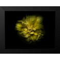 thumbnail image 2 of Carson, Brian 18x15 Black Modern Framed Museum Art Print Titled - Backyard Flowers Yellow 41, 2 of 5
