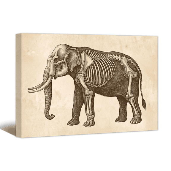 Rustic Elephant Illustration Canvas Wall Art Animal Skeleton Picture Print, Vintage Neutral Artwork Minimalist Painting for Bathroom, Home, Living room Decor