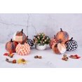 thumbnail image 2 of 8 Pcs Artificial Rustic Harvest Pumpkins Set, Plaid Cloth Fabric Big Pumpkins with 4 Colors for Halloween Fall Thanksgiving Decor Decorating Decorations Plaid Fabric 4 Colors -, 2 of 7