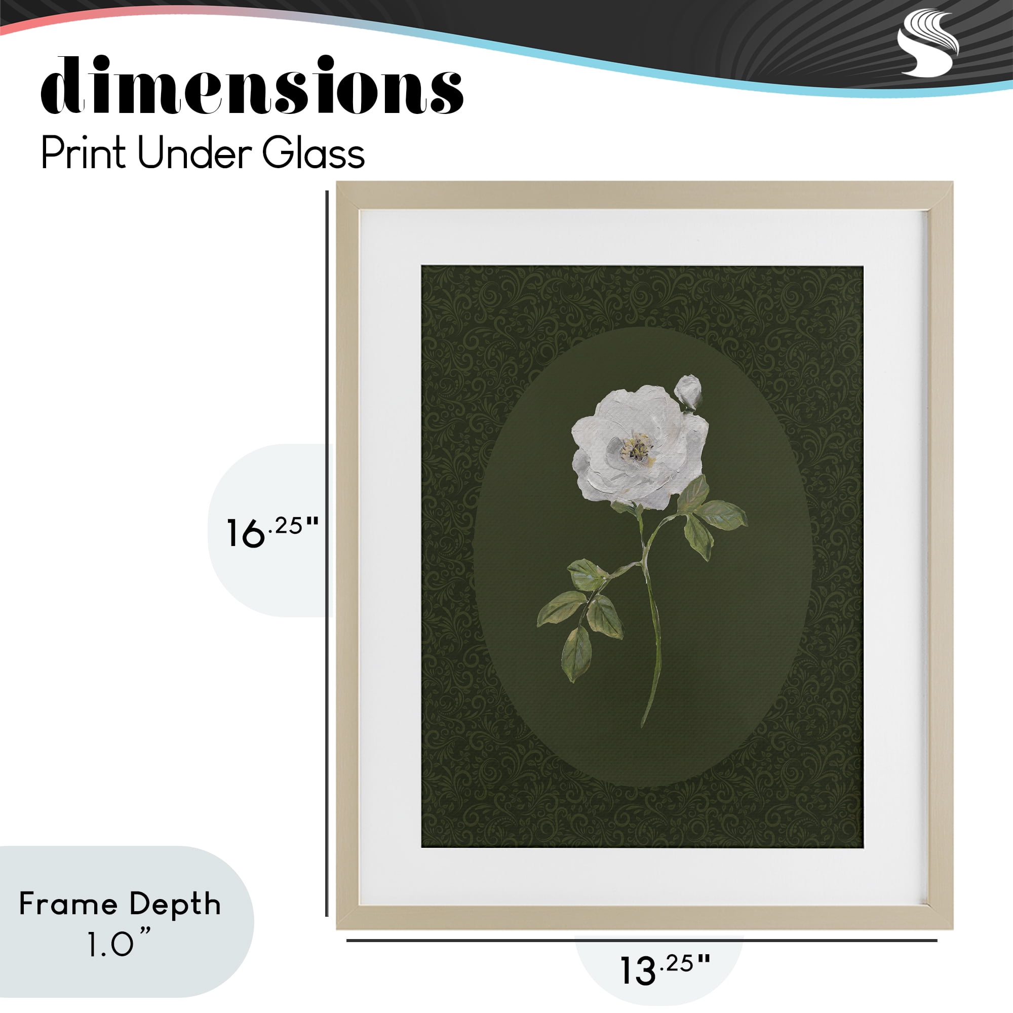 Stupell Industries Emerald & White Oval Rose Birch Framed Print Under Glass, design by Sally Swatland